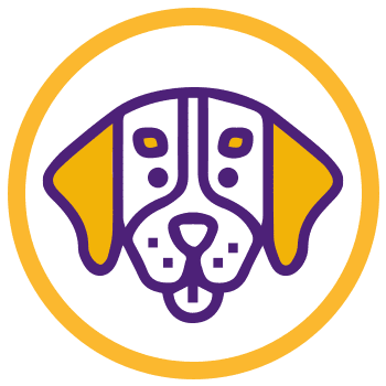 Plaquitas QR Wimbo - Plaquitas inteligentes para mascotas